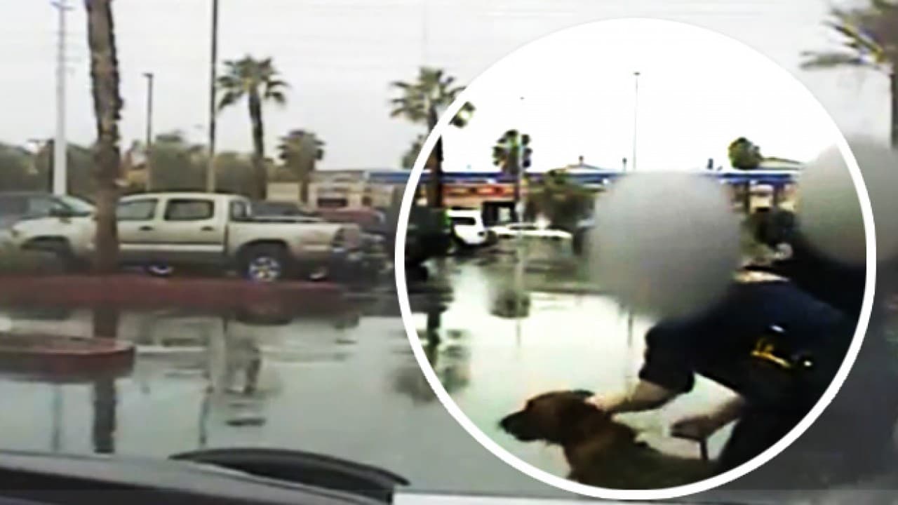 Perro policía muerde por descuido de agentes a bebé hispana en Las Vegas