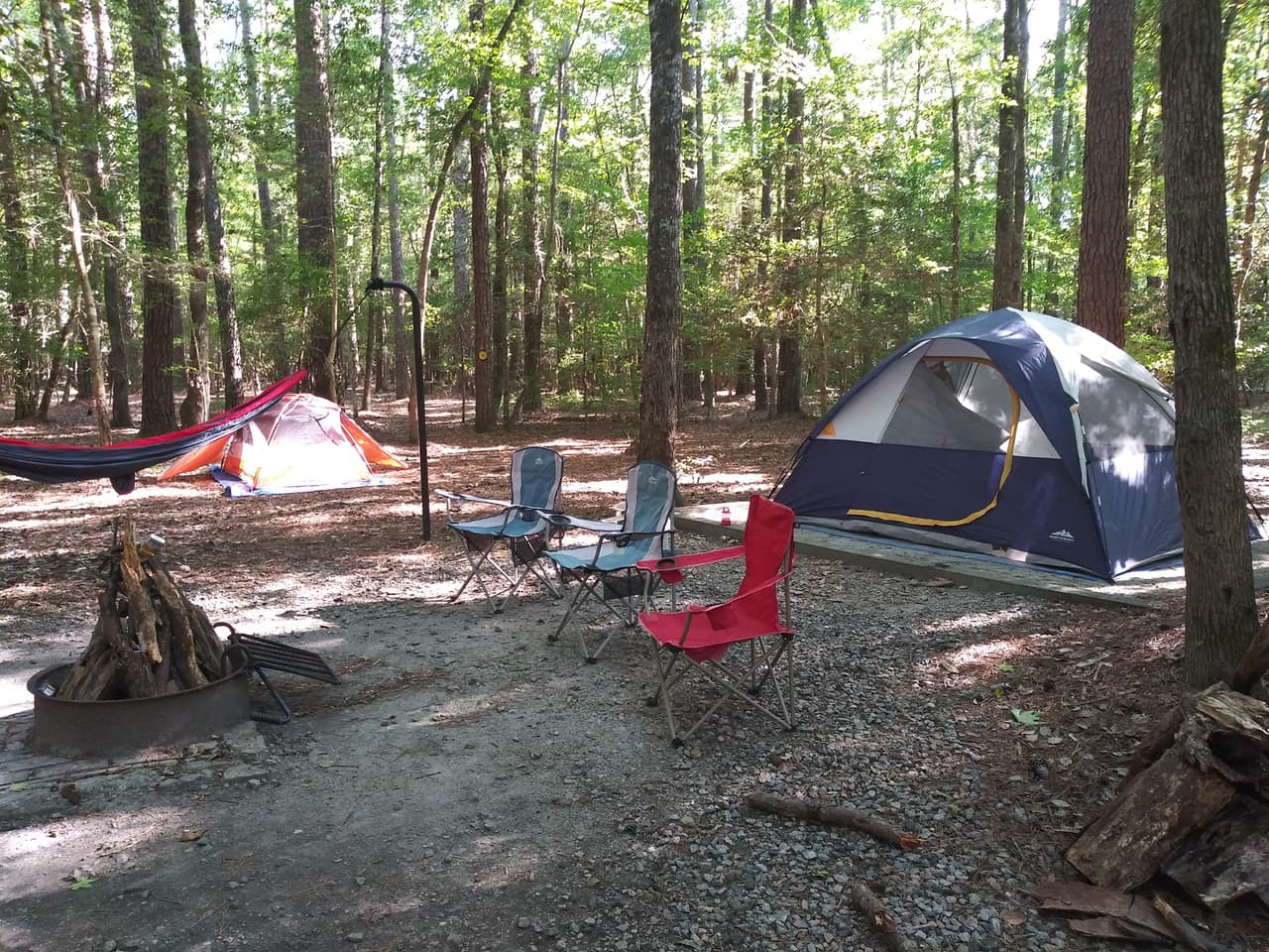 Los cipreses viejos adornados con musgo español crean un "bosque encantado", particularmente en Lassiter Swamp. Aquí podrás acampar en tienda y en vehículo recreativo.