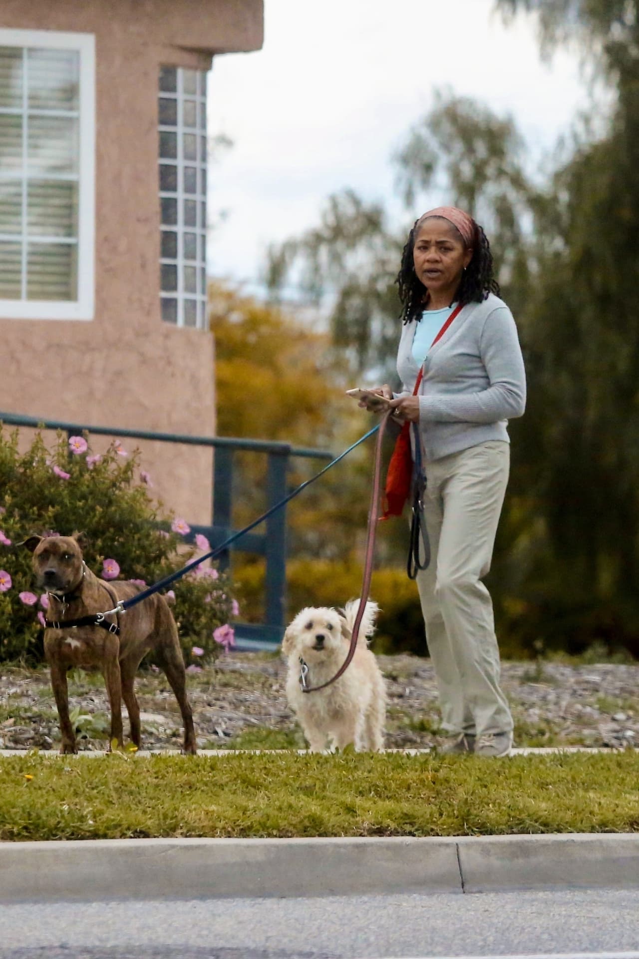 Además, se dijo que Doria ayudaría a la futura mamá a preparar la habitación del bebé en su nuevo hogar, en el que ella tendría cuarto propio.
<br>
