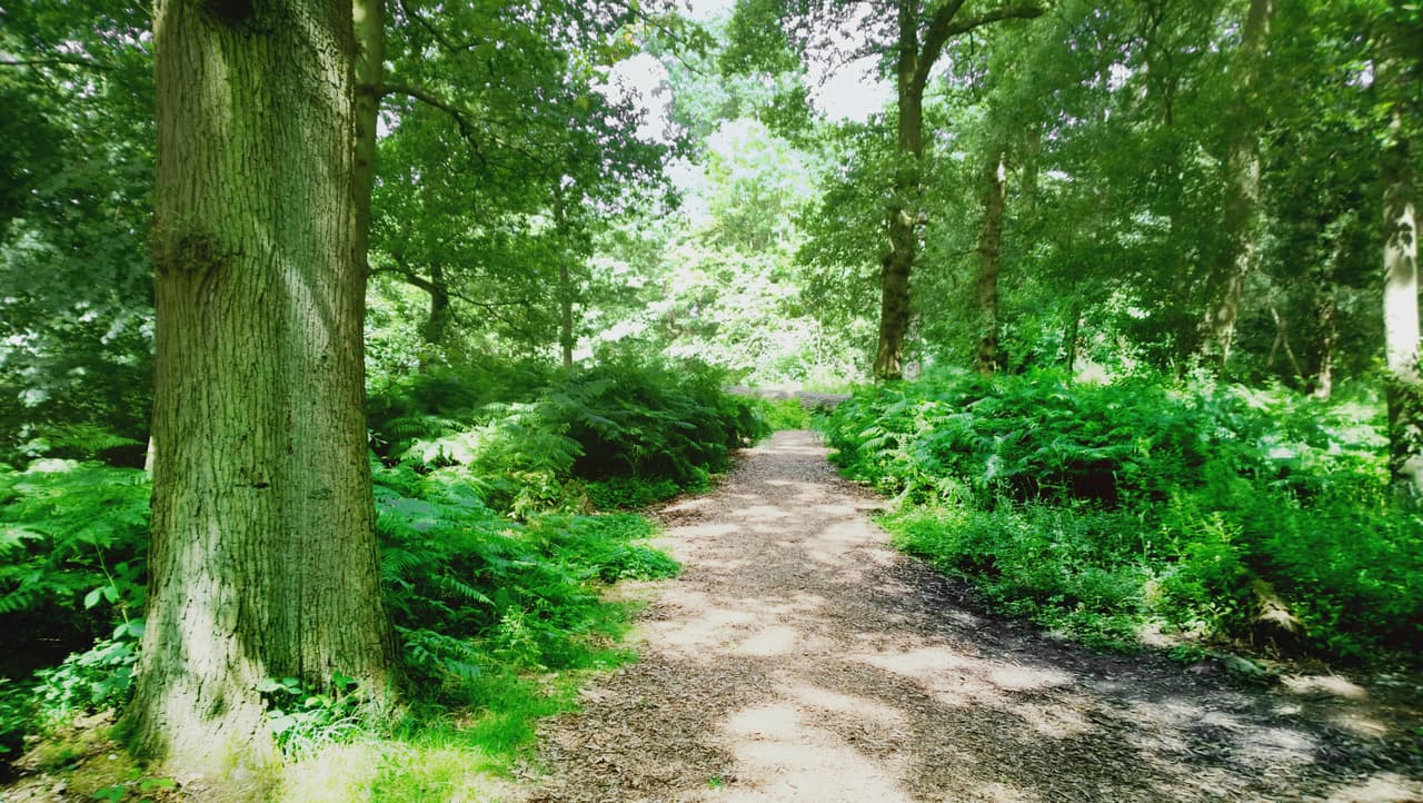 Si no las hubo, las tendrás como hermosas vivencias para el futuro.