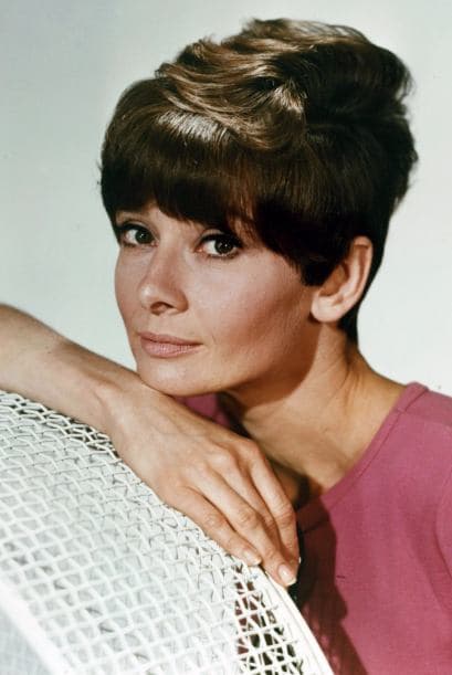 El estilo y el fenotipo inconfundibles de Audrey Hepburn han tenido gran eco desde las décadas de 1950 y 1960, cuando ella saltó a la fama: la figura esbelta, morena y de ojos grandes sentó un precedente que sus admiradores han seguido buscando en otras estrellas.