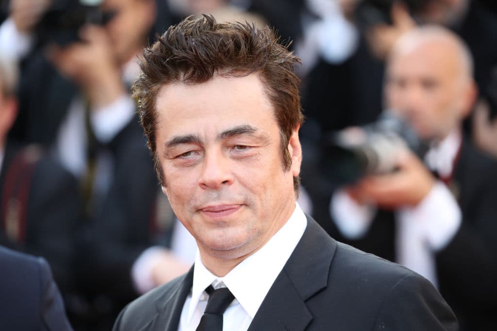 En 2018 le dijo a la revista 
<a href="https://www.esquire.com/uk/culture/a21204013/benicio-del-toro-sicario-2-interview/" target="_blank">‘Esquire</a>’ que no entendía el matrimonio y cuando fue 
<a href="https://www.thetimes.co.uk/article/benicio-del-toro-on-life-as-the-wolfman-rdz89ff86bp" target="_blank">cuestionado al respecto</a> ocho años antes contestó: “¿Para qué me tengo que casar? ¿Sólo para que pueda divorciarme?”.