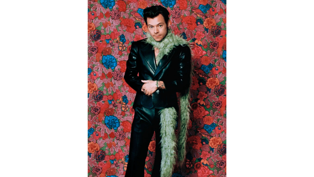 Cantante Harry Styles