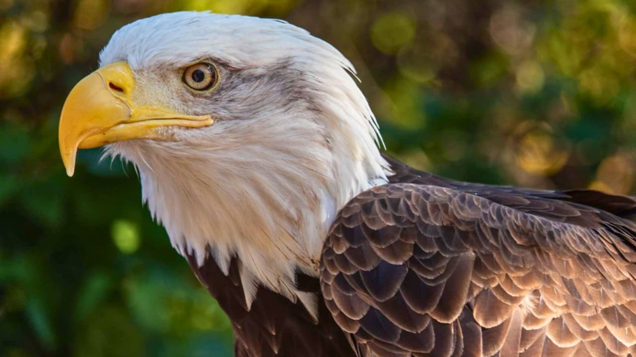 <b>Ir al zoológico puede ser mucho más que un paseo:</b> es una forma divertida y educativa de pasar tiempo en familia. Y este verano, además, puede ser más económico. Si buscas un plan que combine naturaleza, animales, aventura y ahorro, esta es una opción ideal. 
<br>
<b>📸 Consejo extra:</b> no olvides tu cámara o tu celular con batería, ¡las jirafas no esperan!