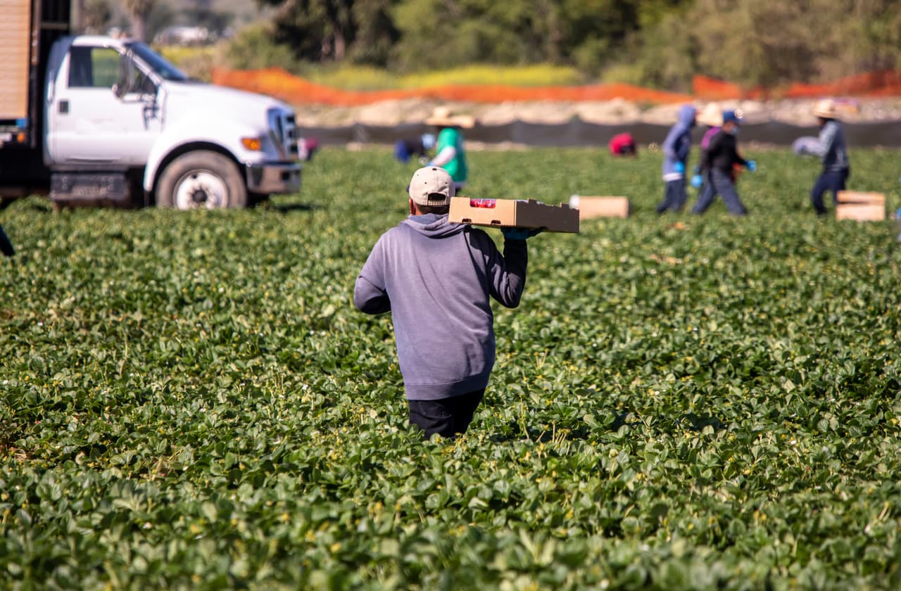 <b>Ley de permiso de inmigración para trabajadores agrícolas indocumentados (SB 831): </b>Esta ley autoriza al gobernador a entablar negociaciones para desarrollar un programa que otorgaría permisos de trabajo a trabajadores agrícolas indocumentados en California. El programa protegería a estos trabajadores de la deportación y les permitiría trabajar legalmente en el estado. 
<a href="https://leginfo.legislature.ca.gov/faces/billNavClient.xhtml?bill_id=202320240SB831">Más información de la ley SB 831 aquí.</a>