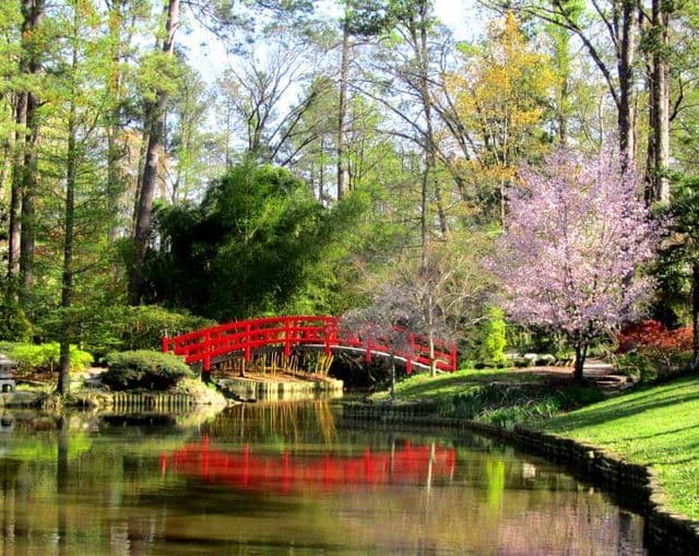 <b><a href="https://gardens.duke.edu/">Sarah P. Duke Gardens (Durham)</a></b>. Más de 600,000 visitantes de todo el mundo visitan Sarah P. Duke Gardens anualmente y disfrutan de sus 55 acres de jardines especializados en el corazón de la Universidad de Duke. 
<br>
<br>
<b><a href="https://goo.gl/maps/rRqTsdLWwcTRaV9B9">Cómo llegar</a></b>
