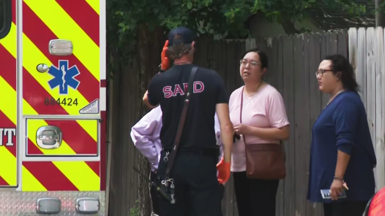 Adulto mayor de 74 años fue atacado por abejas mientras cortaba arbustos en San Antonio; fue hospitalizado