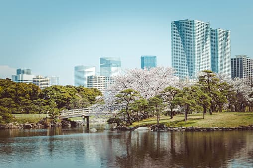 <b>Tokio, Japón.- </b>Esta ciudad ocupa el puesto del mejor lugar para visitar en 2020 de la viajera Helen Fanthorpe. Según explicó la experiencia de visitar este sitio que combina tecnología con historia y paísajes naturales es el combo perfecto para los turistas. "Siempre hay algo nuevo que ver en Tokio", señaló.