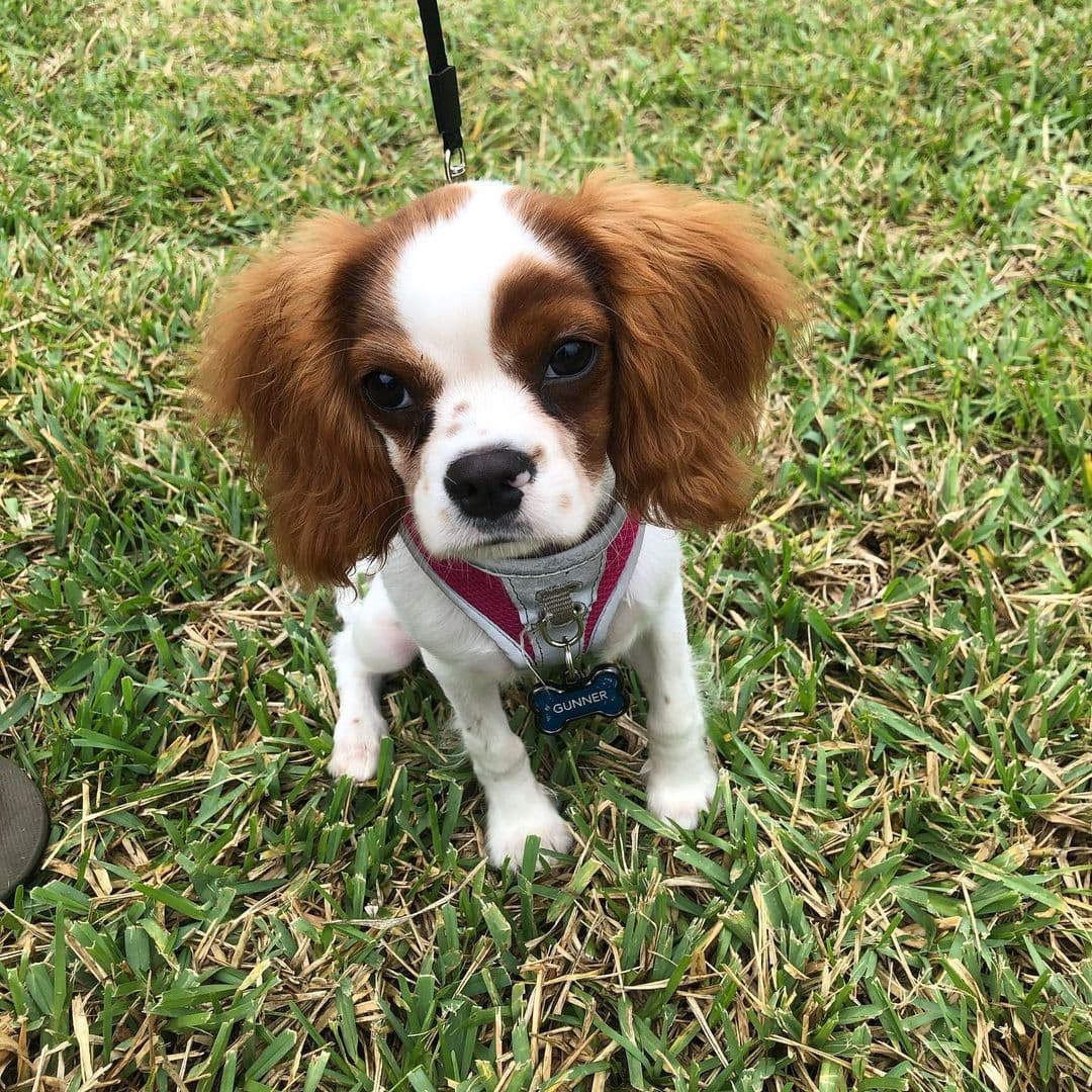 La gratitud es una de esas cosas hermosas de las que se sostiene nuestro día a día, a pesar de todos sus retos. Esta semana, conocimos historias sobre agradecimiento y amor, que nos conmovieron profundamente, pero también compartimos contigo la información que te interesa y todo aquello que te divierte. ¿Estás listo para comenzar el recuento?