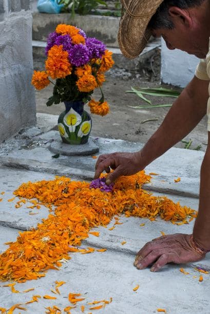 La flor más común en esta fiesta de Día de Muertos es la flor de cempasúchil, de color naranja amarillenta.