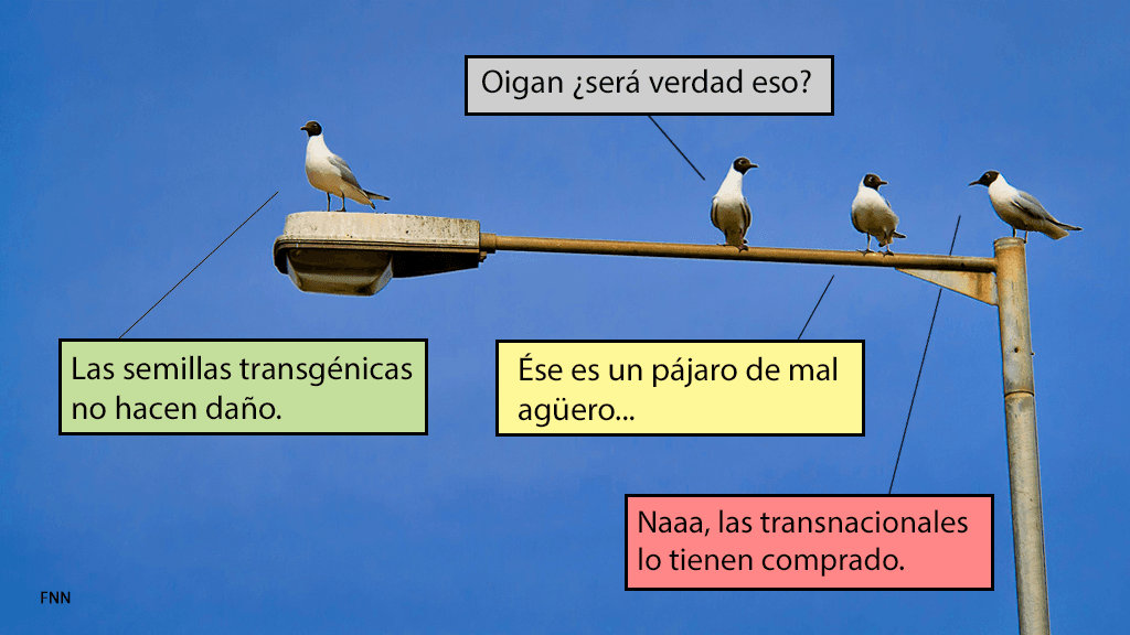 ¿Jura decir la posverdad y nada más que la posverdad?