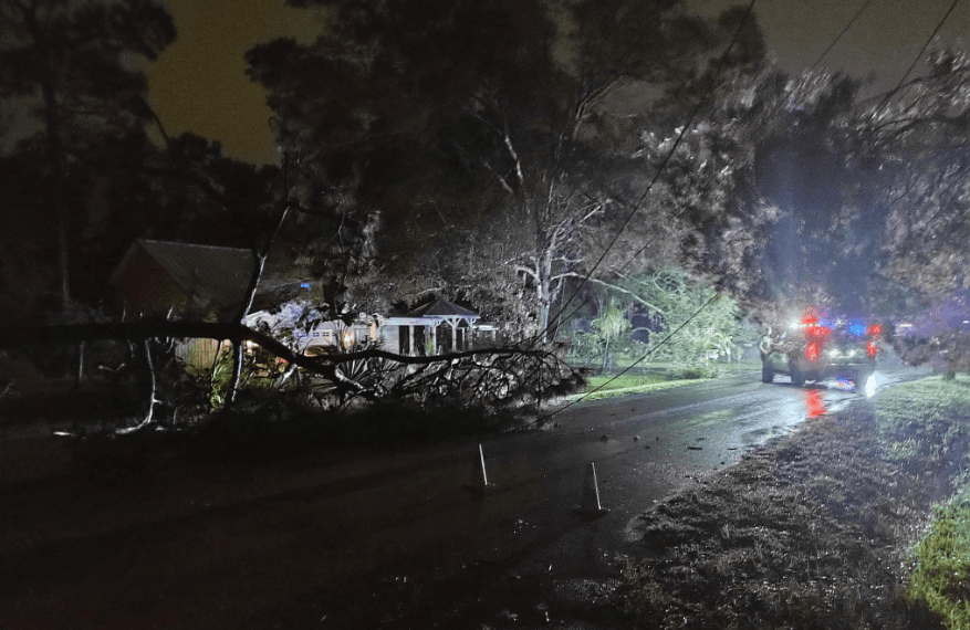 No muy cerca de allí, la Oficina del Alguacil del 
<b>condado Hillsborough</b> advirtió a los residentes sobre
<b> la caída un enorme árbol </b>en la zona de Timberwood Drive y Whippoorwill Drive.