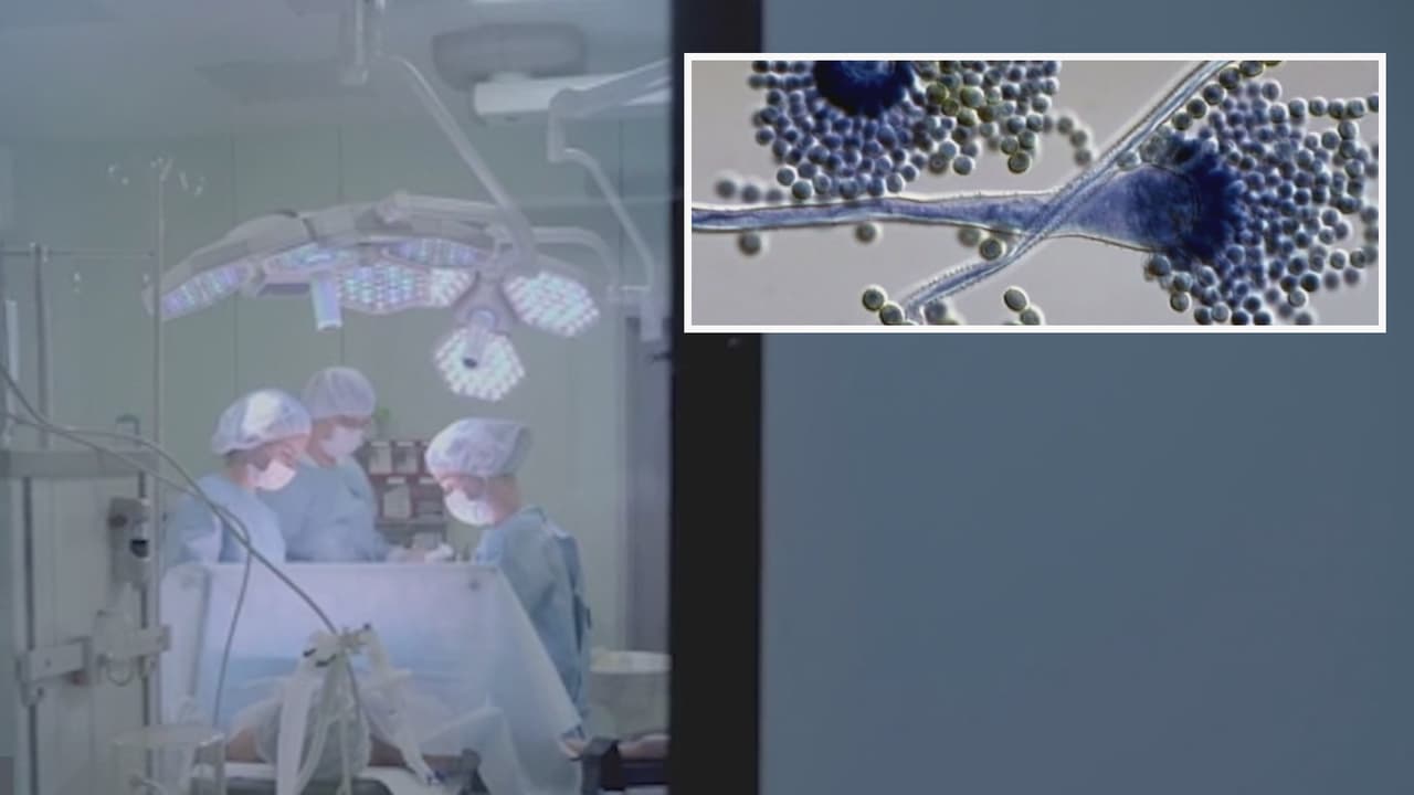 El Departamento de Salud de Texas emitió una alerta por el surgimiento de 
<b><a href="https://www.dshs.texas.gov/meningitis/bacterial-meningitis-unspecified" target="_blank">posibles casos de meningitis bacteriana en la región. </a></b>