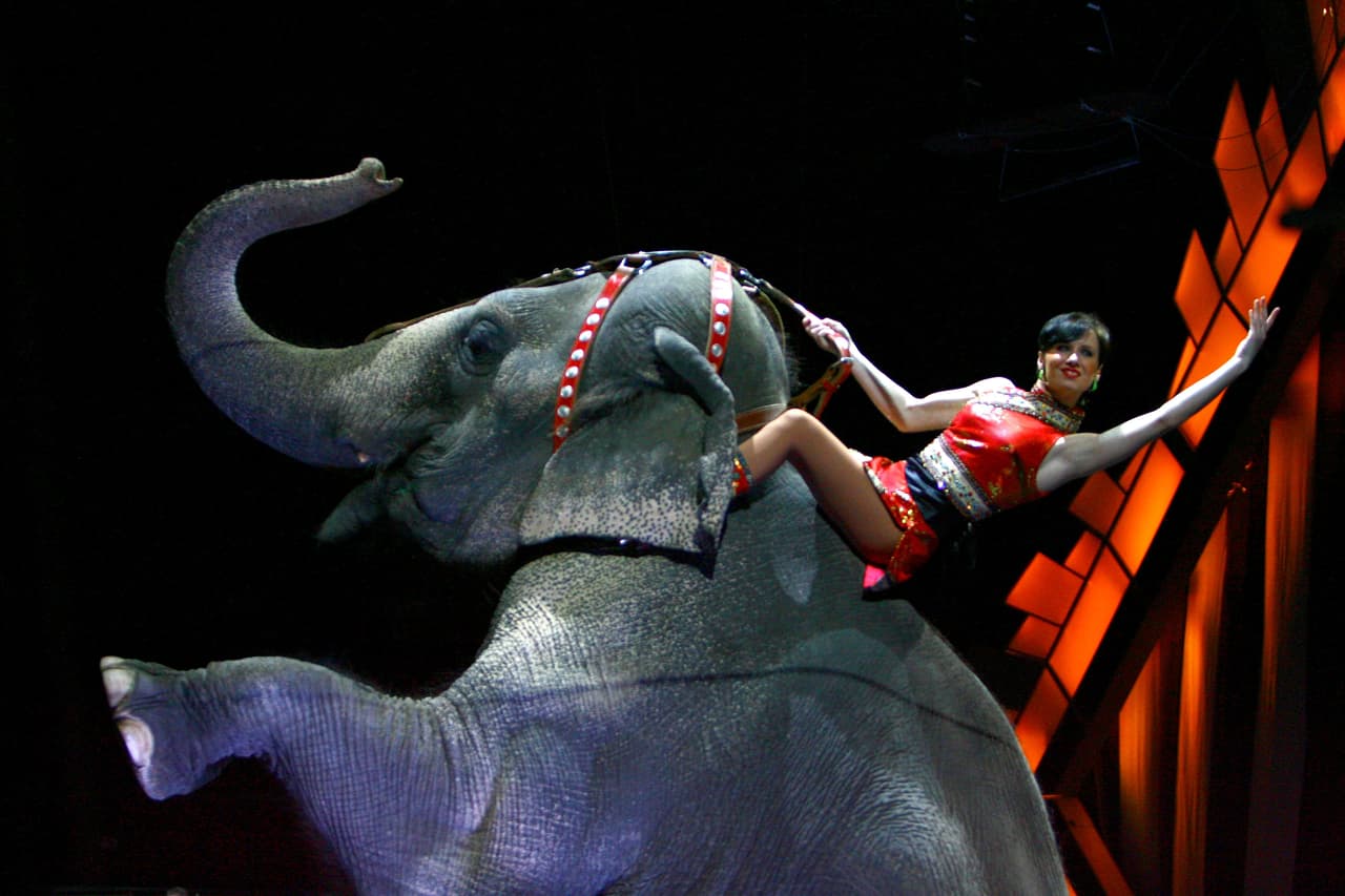 El circo Ringling Bros. y Barnum & Bailey anuncia su cierre definitivo tras 146 años de existencia