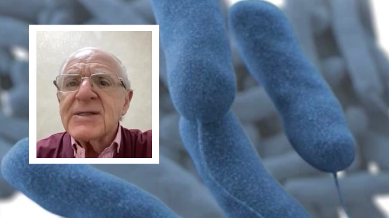 De acuerdo con los Centros para el Control y Prevención de Enfermedades, la bacteria Legionella ocasiona un tipo grave de neumonía (infección pulmonar). 
<br>
<br>El doctor Martín Yudovich afirma que puede ser muy peligrosa para las personas mayores.
<br>