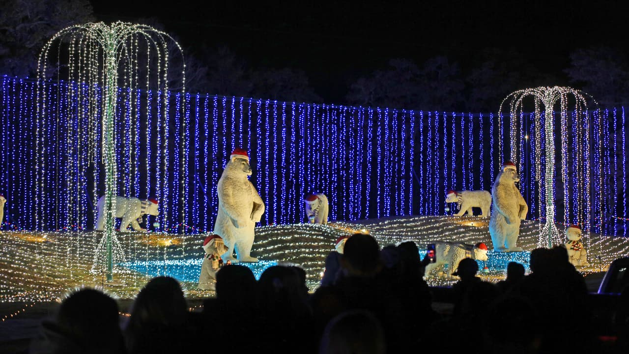 A lo largo del recorrido, se escucha música navideña, lo que hace exaltar el espíritu de la temporada.