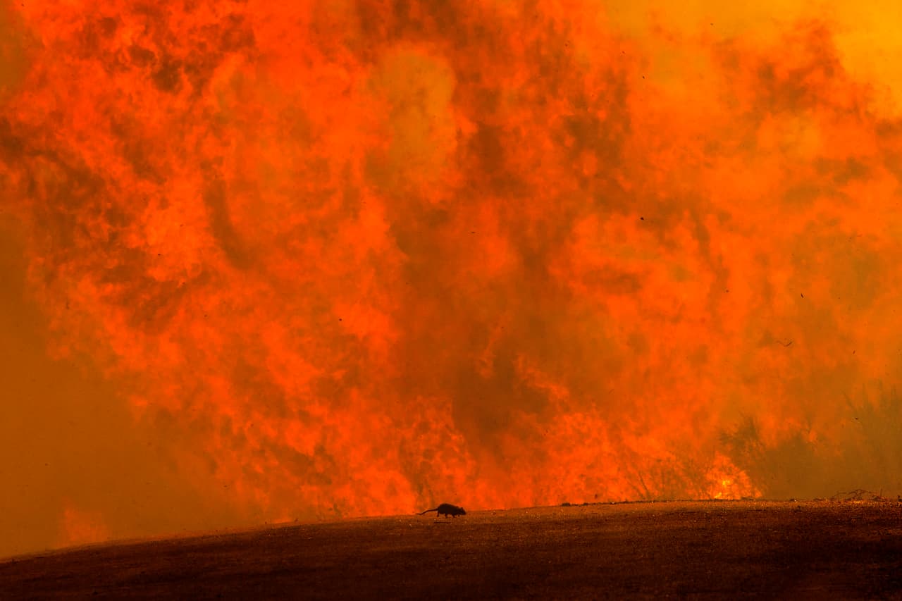 Esta imagen demuestra el alcance se las llamas durante el incendio Apple, al este de Los Ángeles, que destruyó múltiples hectáreas en Cherry Valley al noreste de Palms Spring. Las devastadoras llamas hizo que se emitieran órdenes de evacuaciones desde el pasado 1 de agosto.