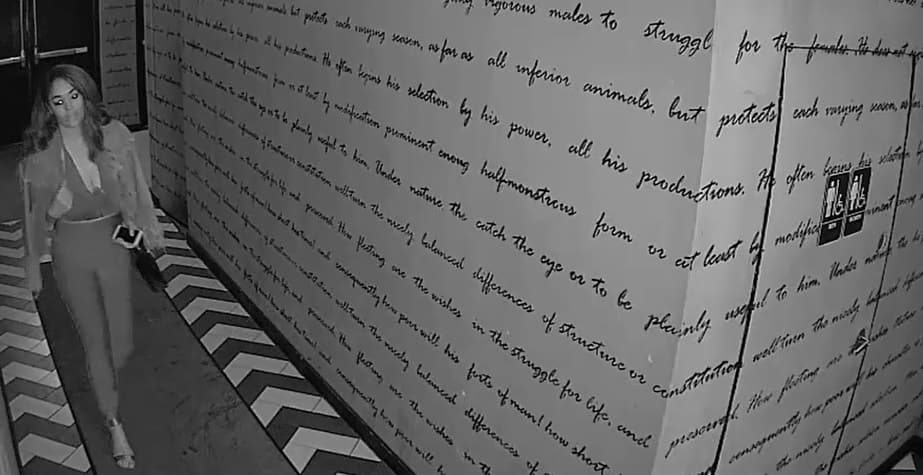 Pasó la noche con él y luego le robó 70,000 dólares en joyería