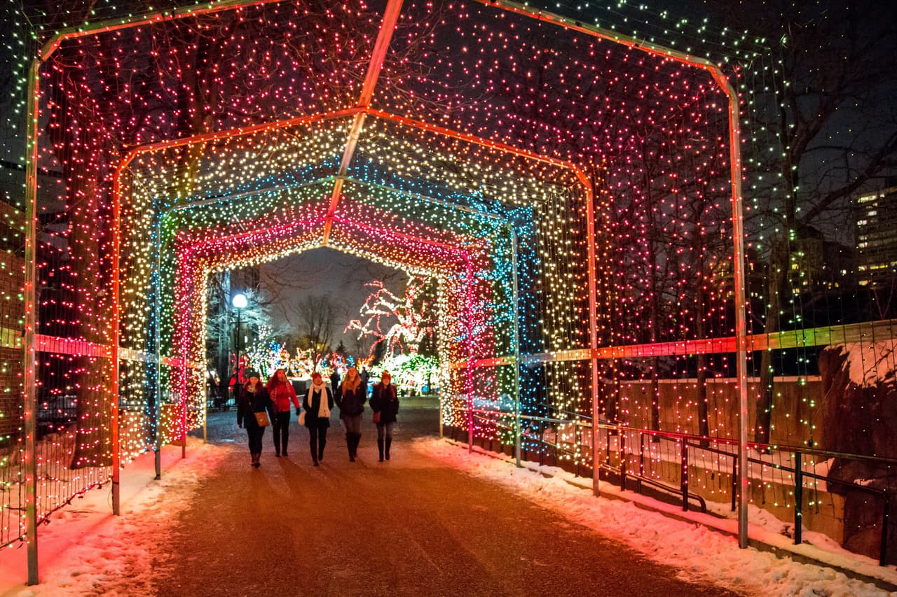 <b>Zoolights: </b>En invierno, el zoológico de Lincoln Park está cubierto con más de dos millones de luces para una exhibición navideña impresionante. El festival gratuito incluye manualidades navideñas, fotos con Santa, encuentros con animales, viajes en tren y carrusel, y mucho más. Este evento festivo tiene lugar a fines de noviembre hasta principios de enero. 
<b><a href="https://www.lpzoo.org/zoolights-presented-comed-and-invesco-qqq" target="_blank">Más aquí</a></b>.