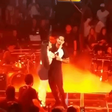Aunque en un inicio el cantante se mostró amable, no pudo evitar mostrar su disguto y rechazo cuando su fan intentó besarlo. Inmediatamente la seguridad del cantante reaccionó y la bajó del escenario.