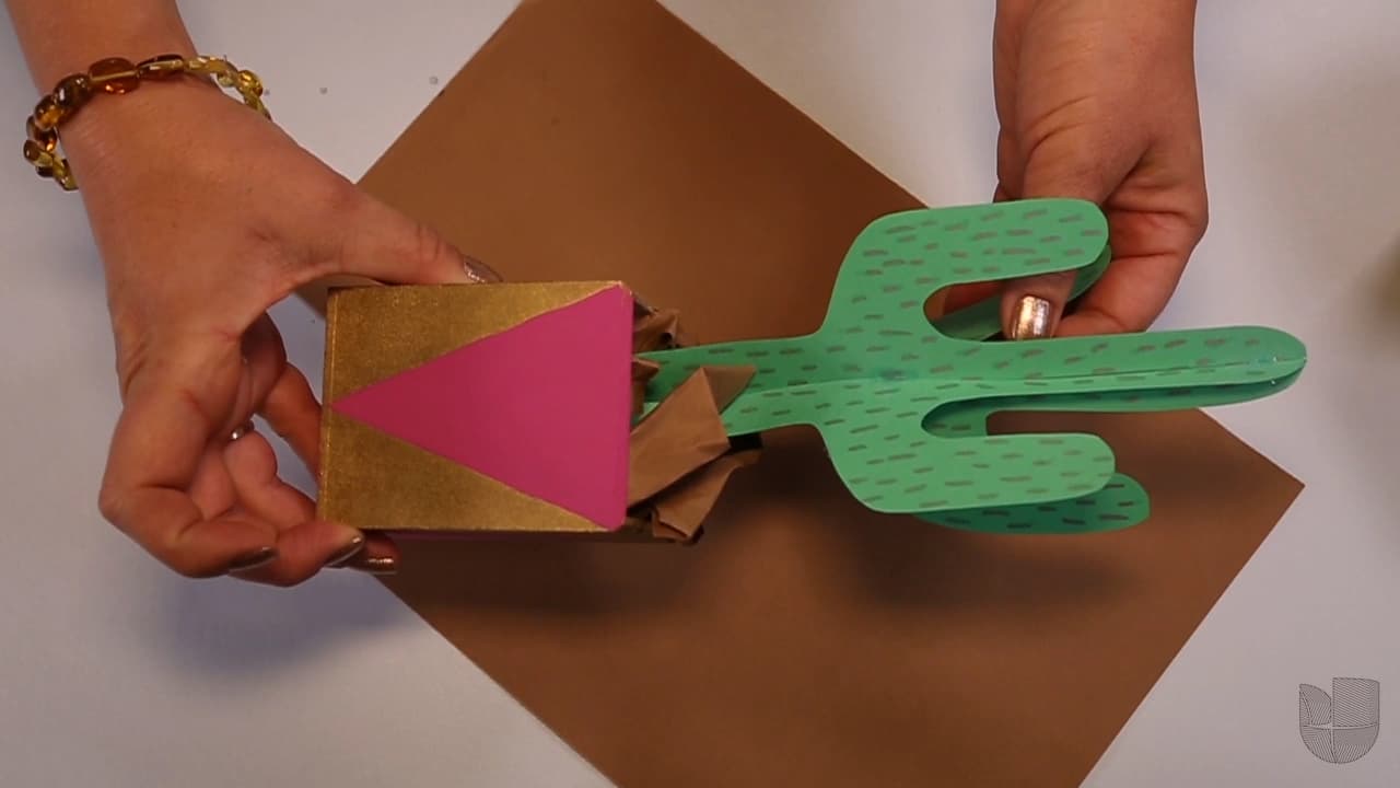 DIY: Do It Yourself Manualidades para Papás y Mamás - Cactus de Papel
