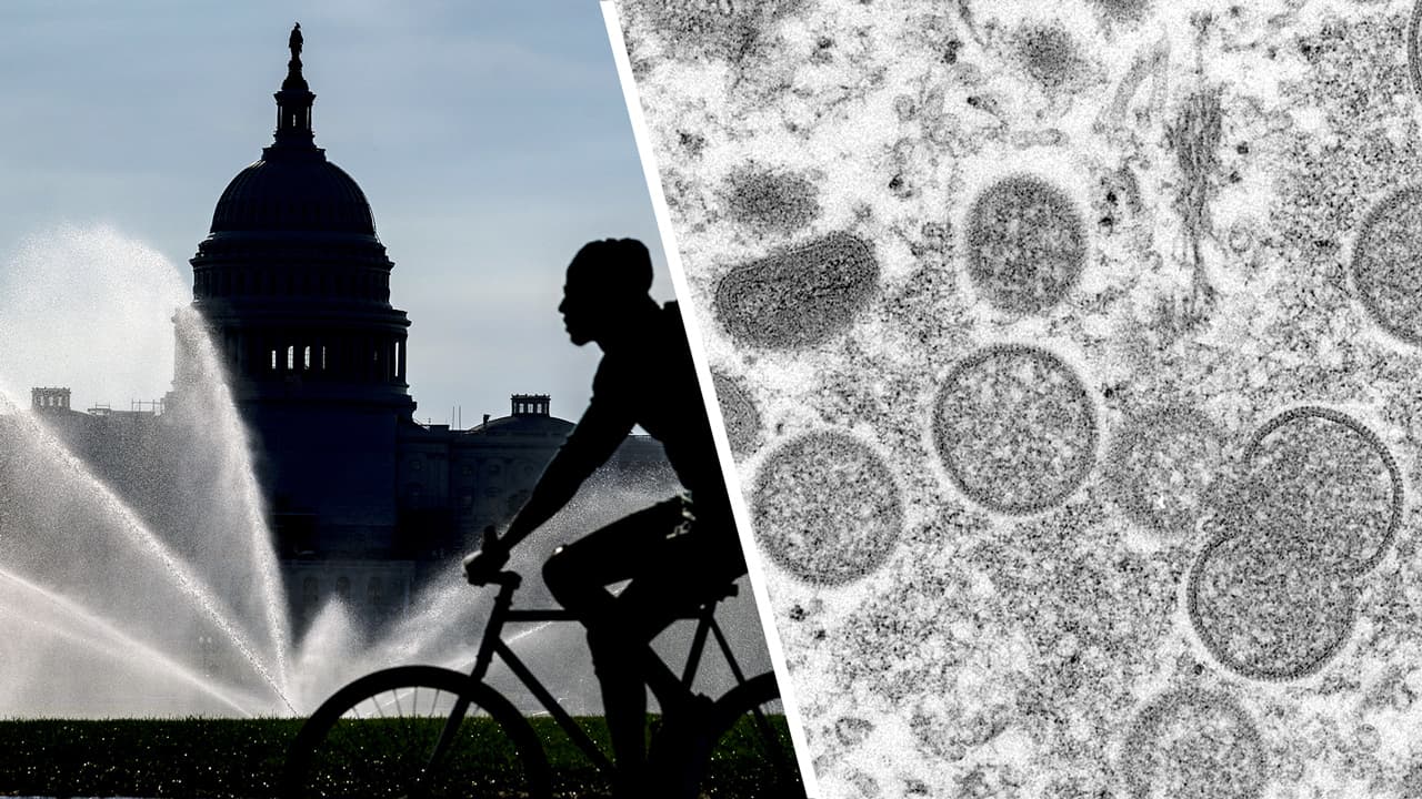 El Distrito de Columbia es la entidad con mayor densidad de contagio de viruela del mono en EEUU