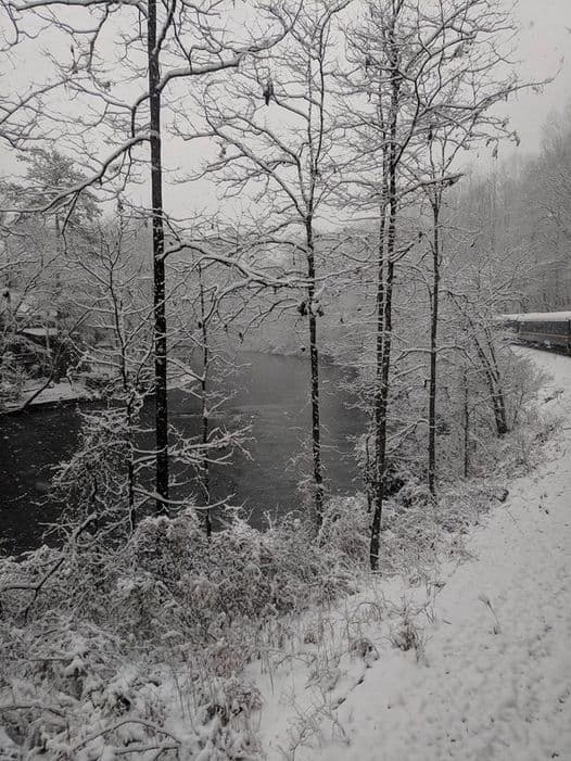 El tren serpenteará lentamente a través de las pintorescas estribaciones de los Apalaches a lo largo del río Toccoa, que se vuelve aún más hermoso después de la nieve recién caída.
