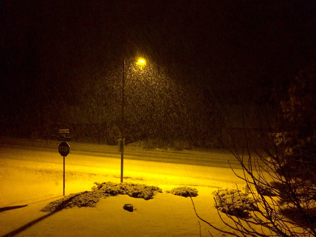 El Sistema Meteorológico Nacional de Flagstaff anunció que a las 5:00 de la mañana ya se habían recibido 9.6" de nieve en Flagstaff. Debido a la nevada, varias escuelas están cerradas.