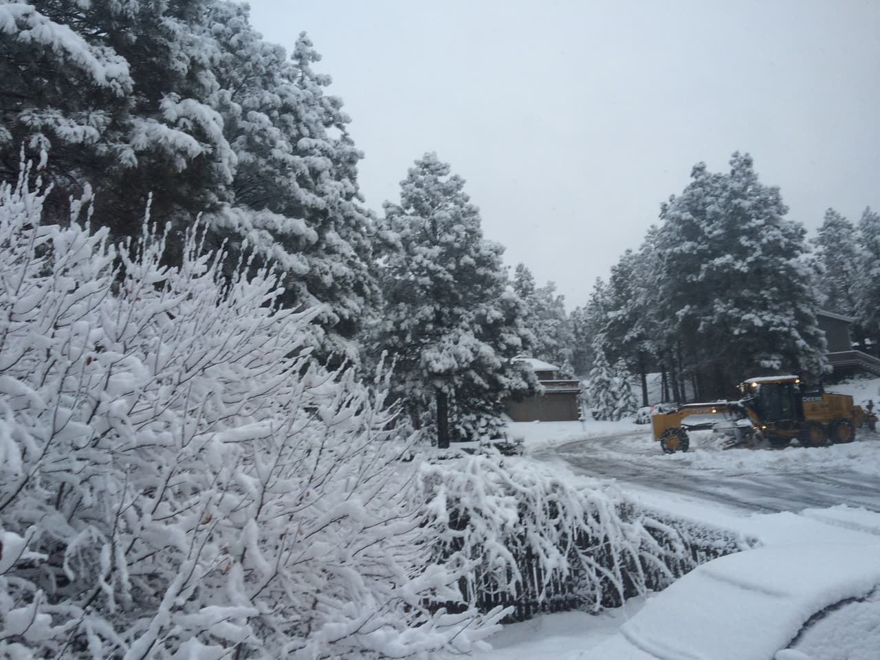 El Sistema Meteorológico Nacional de Flagstaff anunció que a las 5:00 de la mañana ya se habían recibido 9.6" de nieve en Flagstaff. Debido a la nevada, varias escuelas están cerradas.
