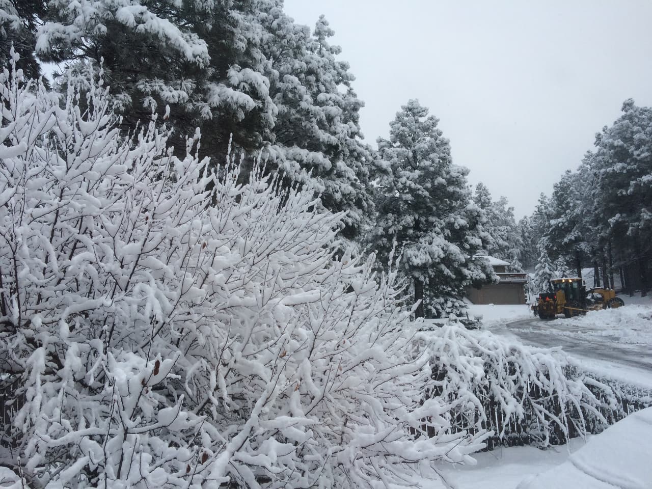 El Sistema Meteorológico Nacional de Flagstaff anunció que a las 5:00 de la mañana ya se habían recibido 9.6" de nieve en Flagstaff. Debido a la nevada, varias escuelas están cerradas.
