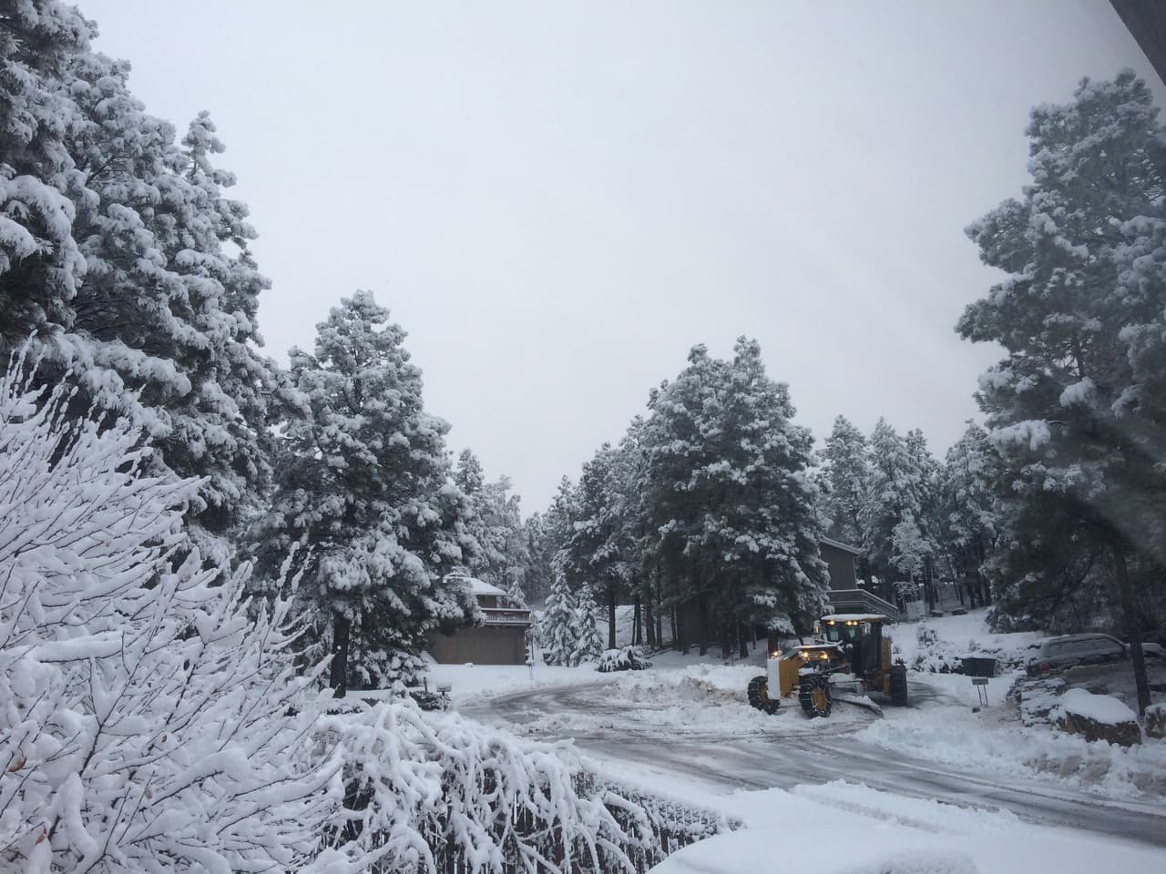 El Sistema Meteorológico Nacional de Flagstaff anunció que a las 5:00 de la mañana ya se habían recibido 9.6" de nieve en Flagstaff. Debido a la nevada, varias escuelas están cerradas.