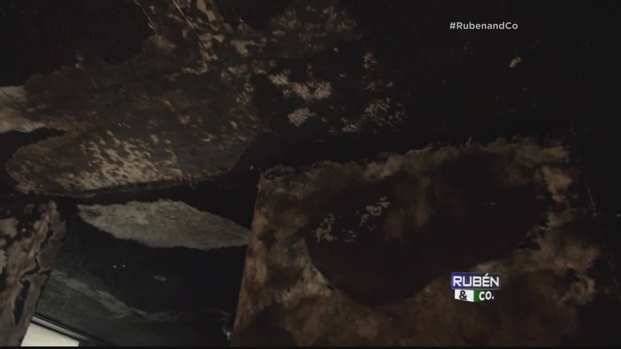 Tras el paso de la tormenta Erika, la casa se quedó sin luz por lo que se fueron a dormir a casa de un familiar. A las 11:03 p.m. recibieron una llamada de un vecino indicándole que chispas salían del patio. Estas se convirtieron en un voraz incendio que los dejó sin hogar.