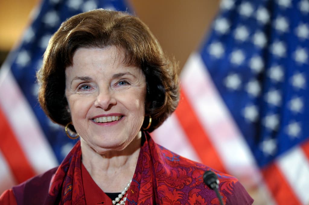 Feinstein fue una ferviente luchadora por el control de armas, y logró en 1994 que se aprobara una 
<b>prohibición a las armas de asalto</b>, la cual se mantuvo hasta que en 2004 el Congreso decidió no renovarla. Desde entonces abogó sin mucho éxito por leyes que limitaran el uso de armas.