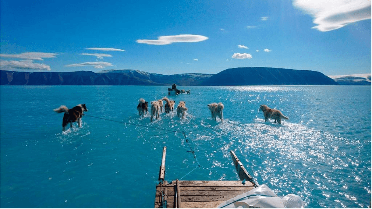 Esta foto del 13 de junio muestra a unos perros de trineo abriéndose camino en Groenlandia, donde el deshielo llegó mucho antes de tiempo. La imagen, que se hizo viral, simboliza la gravedad de la emergencia que enfrentamos.