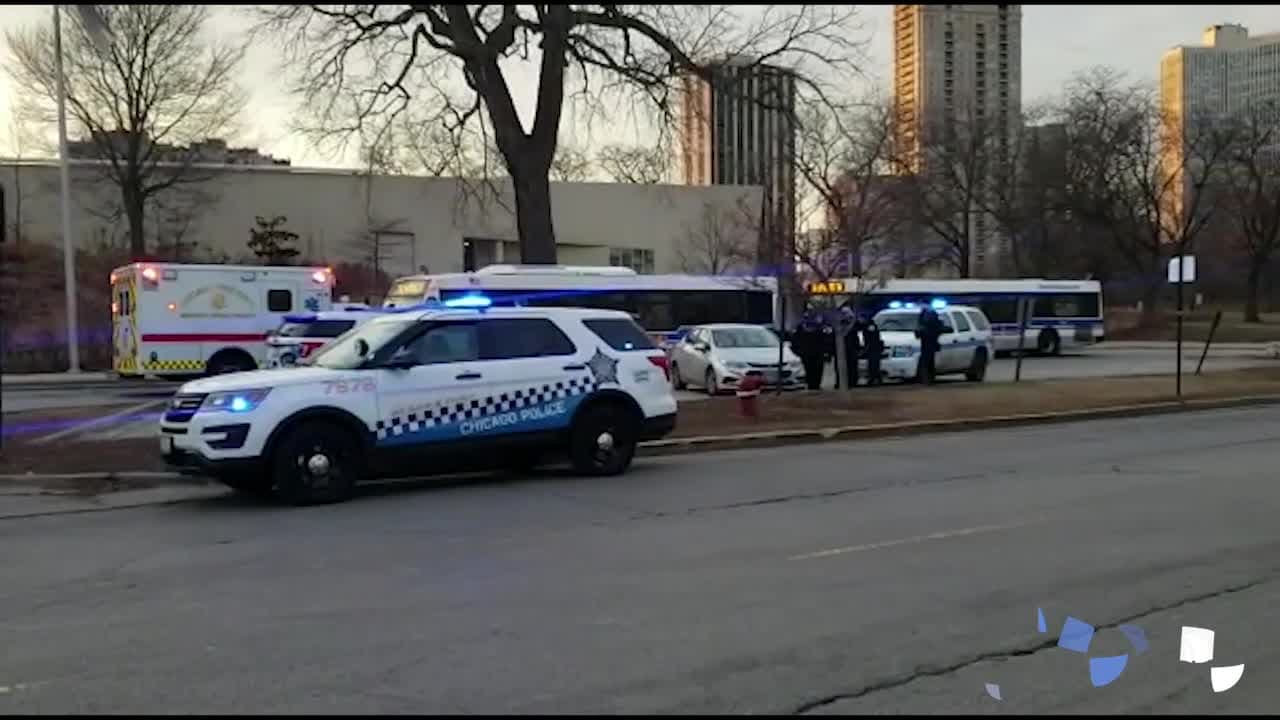 Reportan que coyote ataca a niño de 5 años en vecindario de Lincoln Park