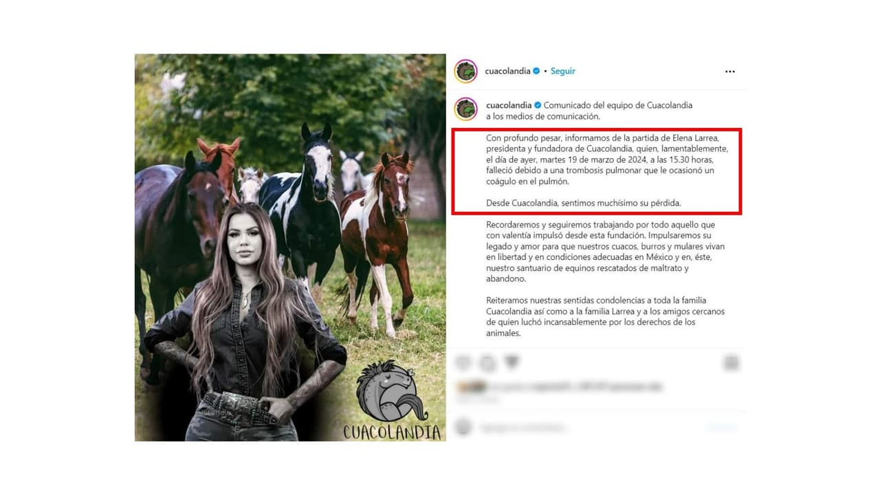 La activista murió a los 31 años.