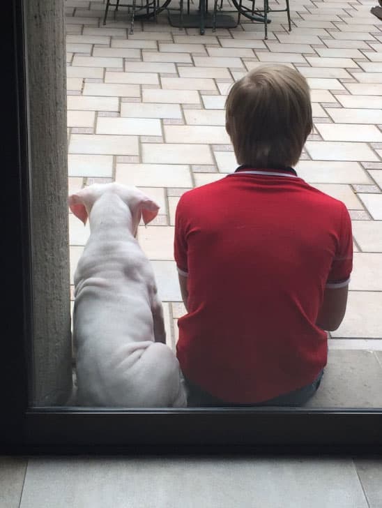 Luciano es un chico dulce y muy juguetón.