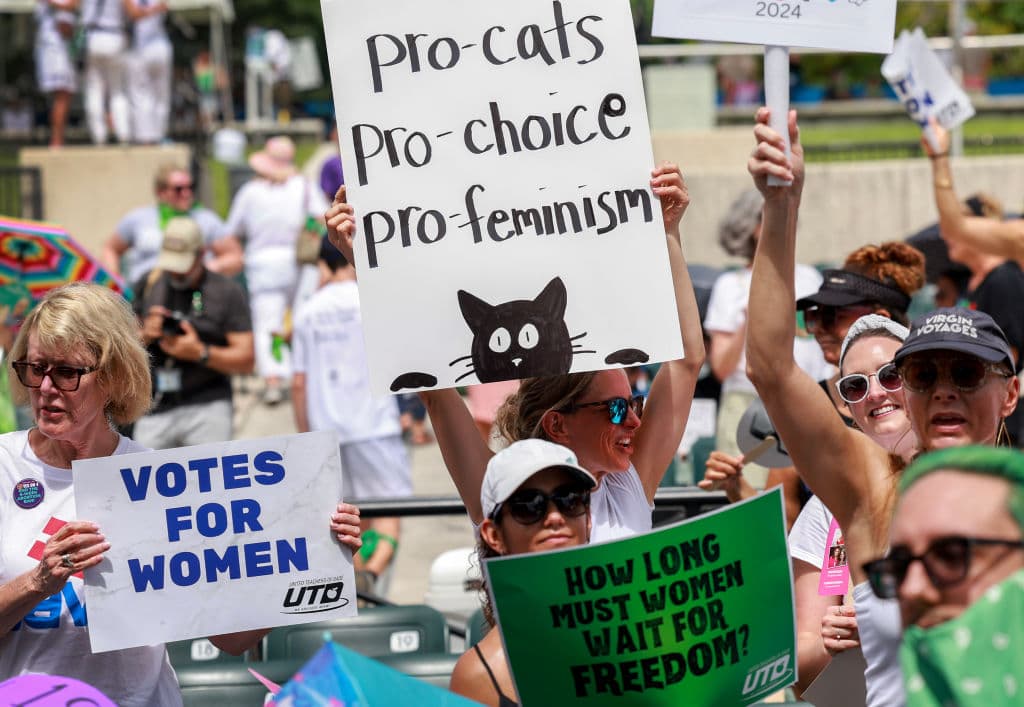 Madres, padres, mujeres con gatos y otras personas piden el voto por la Enmienda 4 en Miami