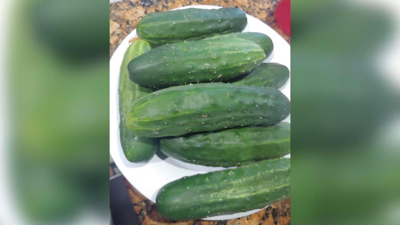 Estefania Garcilazo quiso compartir la cosecha que le ha dado el huerto de su casa en Pasadena, Texas.