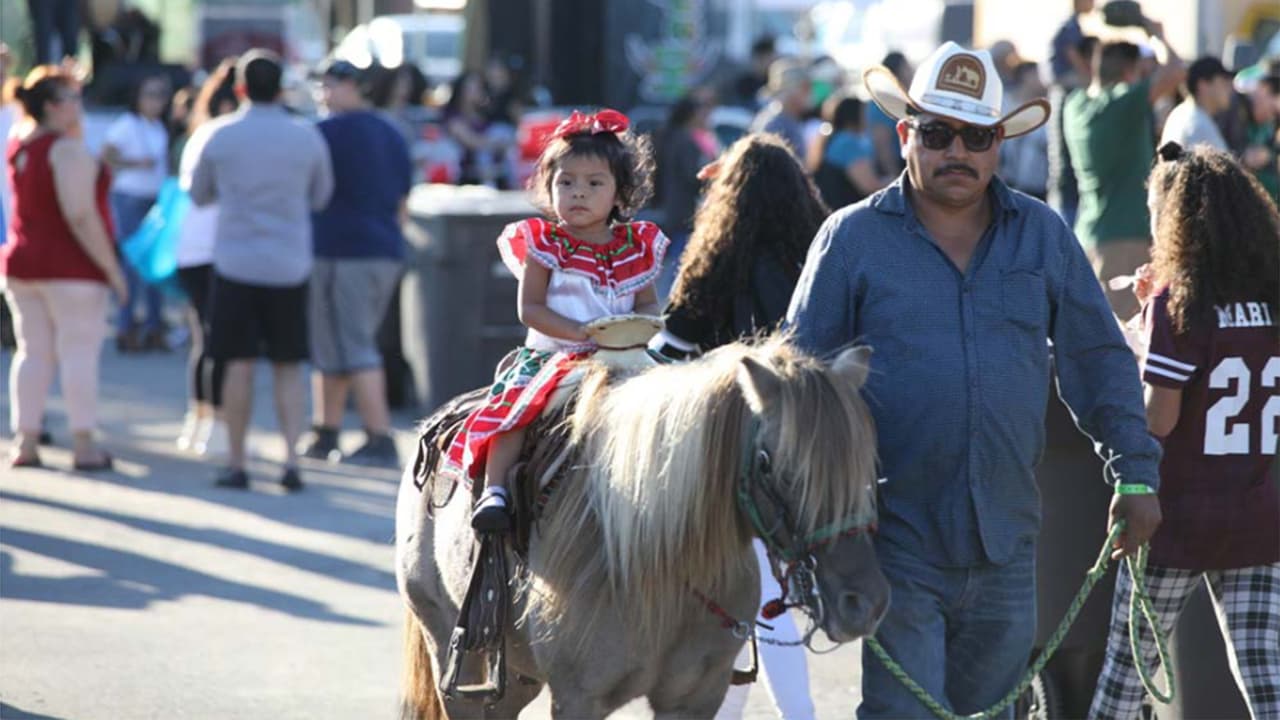 <b>Para los niños se prepara un rodeo con caballos, ponis y área de contacto con animales.</b> Mientras que se alista para la noche un espectáculo de pirotecnia.