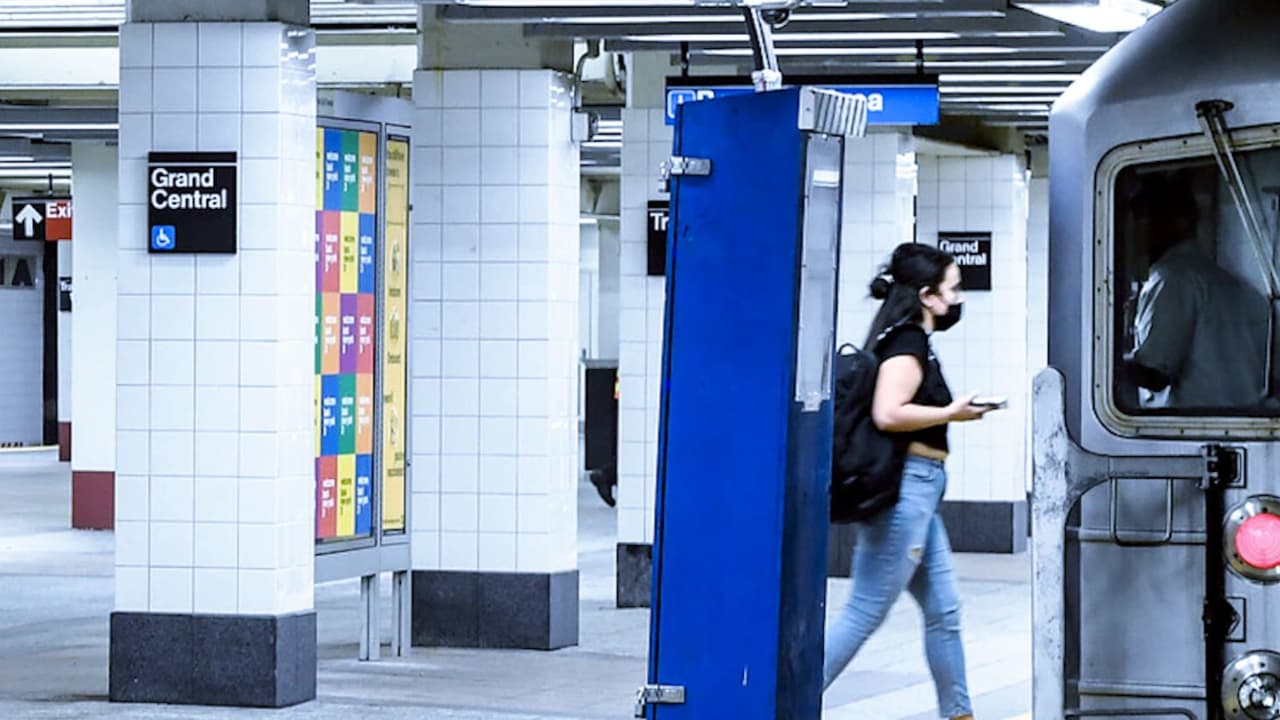 Perro en las vías del metro causa interrupción del servicio en Manhattan