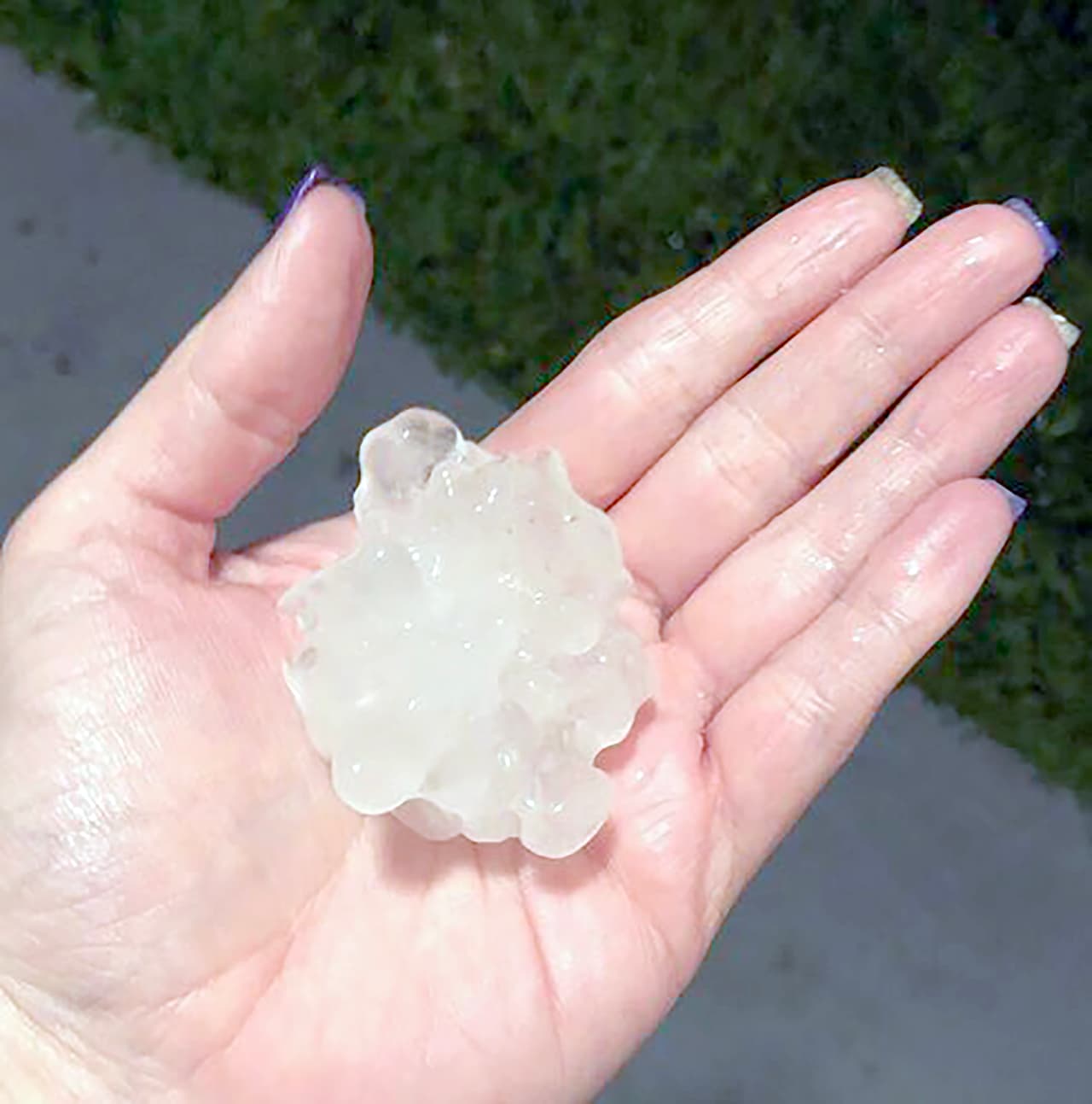 Y durante la noche del viernes no solo llovió,
<b>también cayó granizo. </b>En algunos casos, como se ve en la imagen, las pelotas de hielo eran casi del tamaño de una de golf.