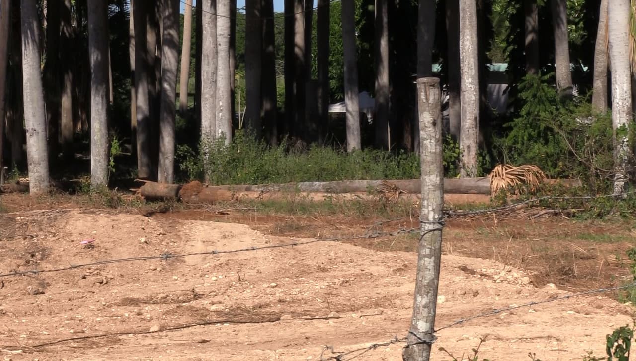 Tras la salida de la secretaria de Recursos Naturales y Ambientales Tania Vázquez, ahora los manifestantes no tienen claro que pasará con el caso.