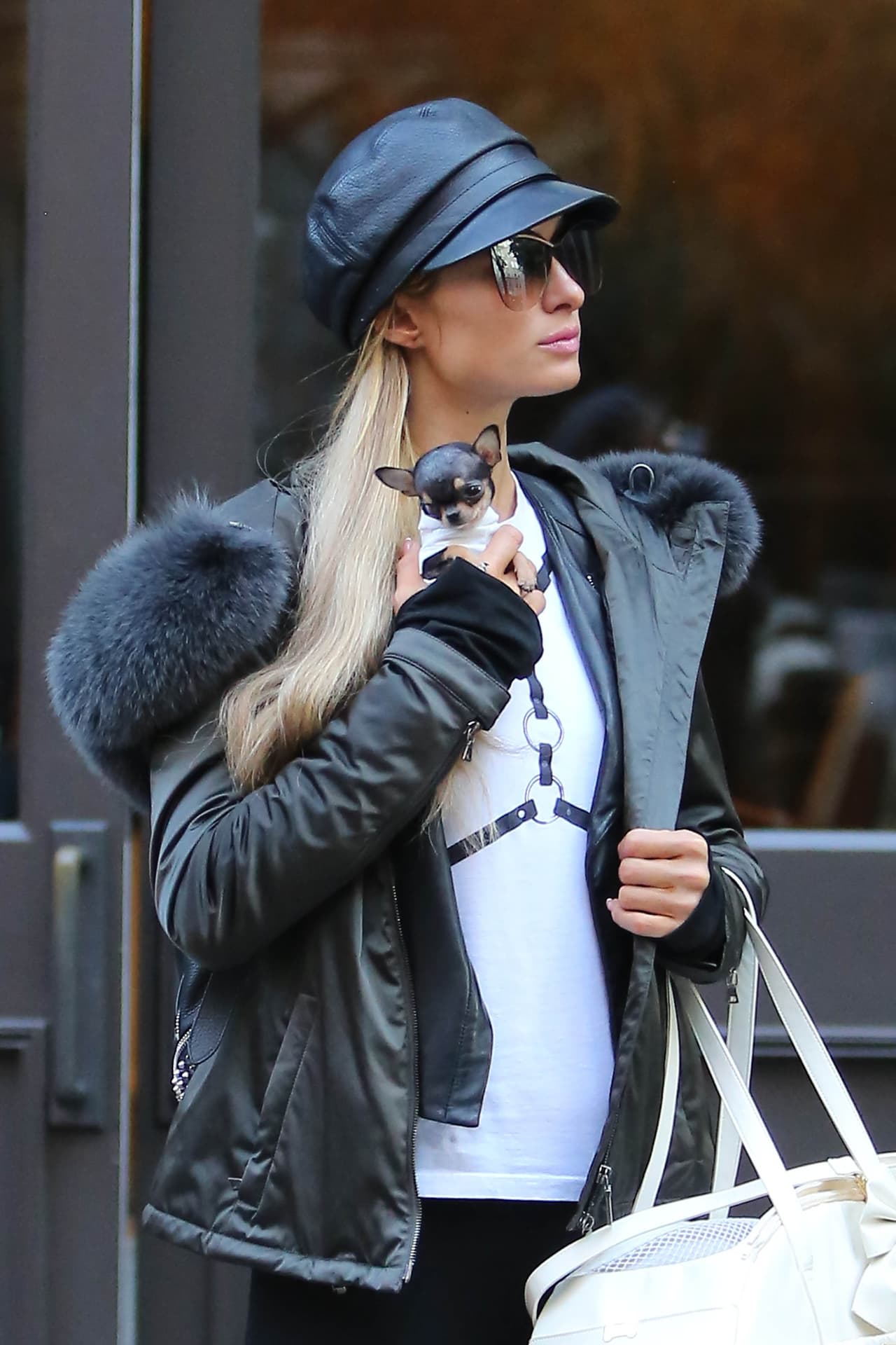 En lugar de adoptar, este pequeñín le costó ni más ni menos que 8 mil dólares.