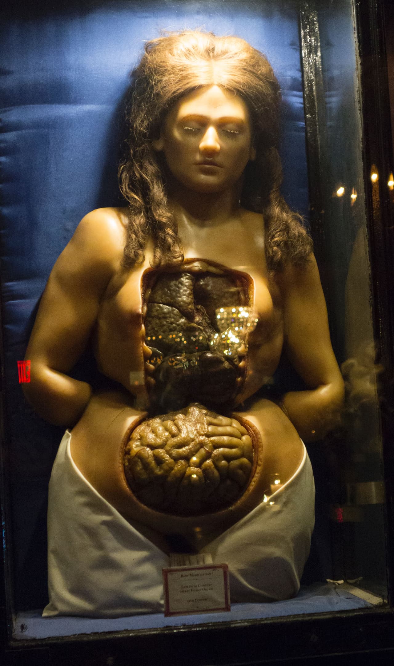 Ryan Matthew Cohn compró la muestra a un coleccionista alemán y sobre ella trabajó el concepto del bar museo, localizado en el Brooklyn Alamo Drafthouse.