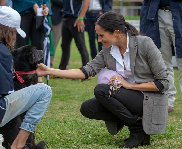 Una fuente cercana a la familia real dijo al periódico: "Meghan realmente 
<b>quiere un perro con el que Archie </b>pueda asociar su infancia".