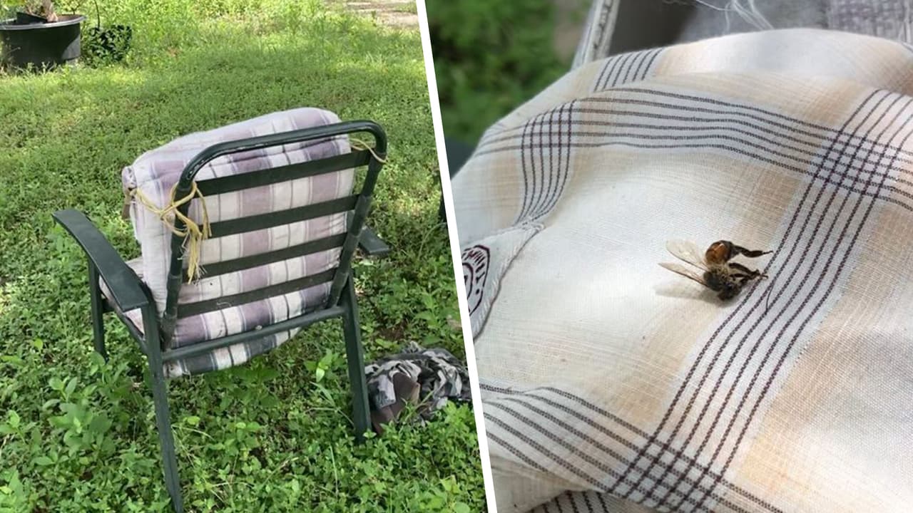 Una vecina, que no quiso ser identificada, narró a Univision 41 lo que ocurrió en el lugar.