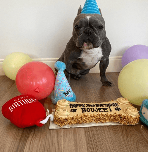 El nombre de su mascota es Boujee.