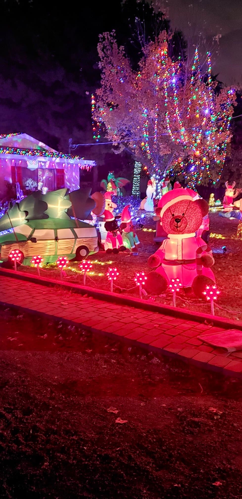 “Pensamos que sería estupendo que la gente pasara en coche o paseara por nuestra casa y disfrutara del espectáculo de luces de forma segura”, señala Mónica Rascón.
<br>