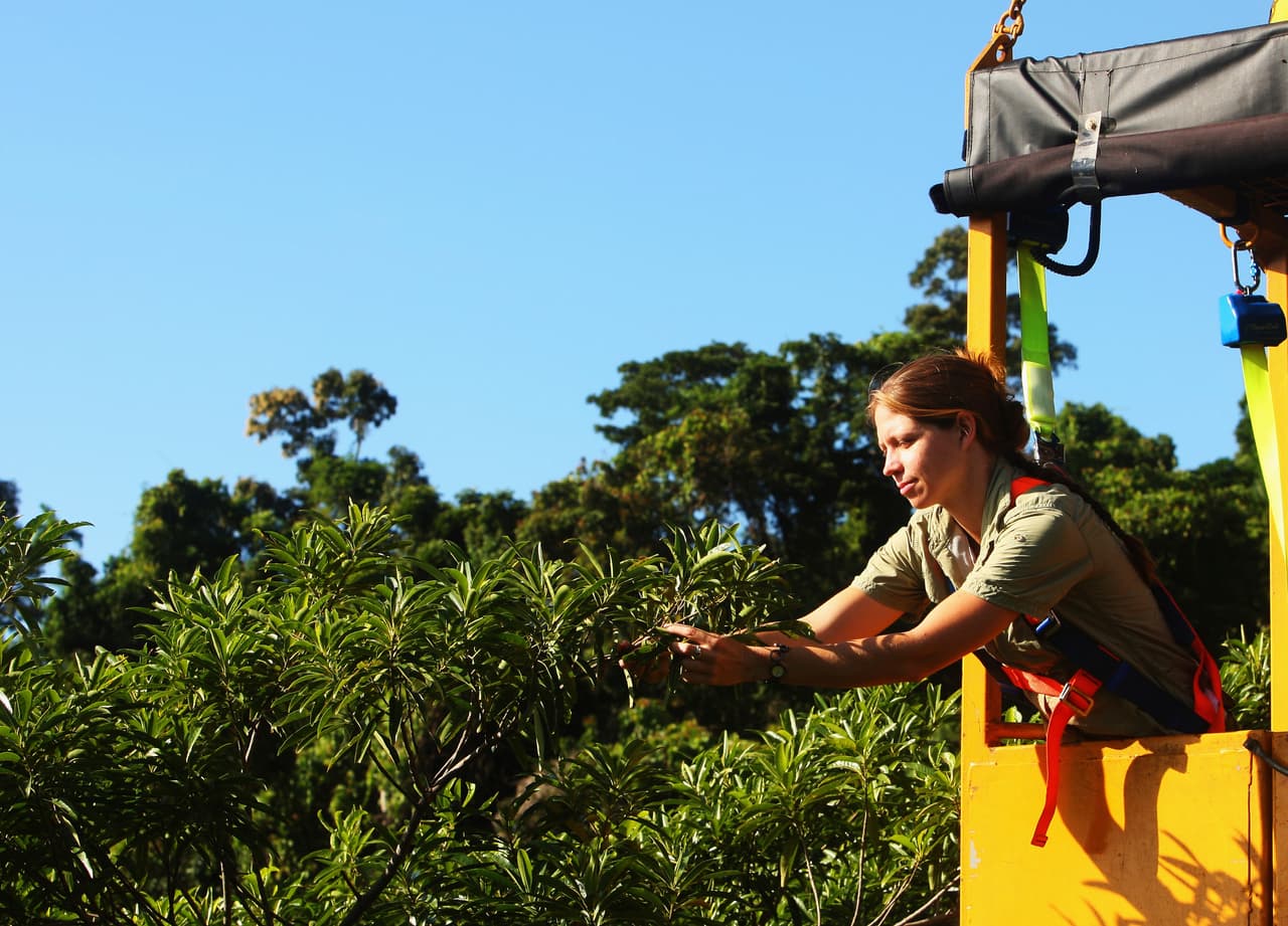 Ciencias ambientales. Reúne datos y monitorea las condiciones medioambientales en cualquier tipo de clima. Identifica problemas y busca soluciones para proteger al medioambiente y sus habitantes. Eso sí, es un trabajo demandante que puede requerir que viajes mucho, más un título universitario.